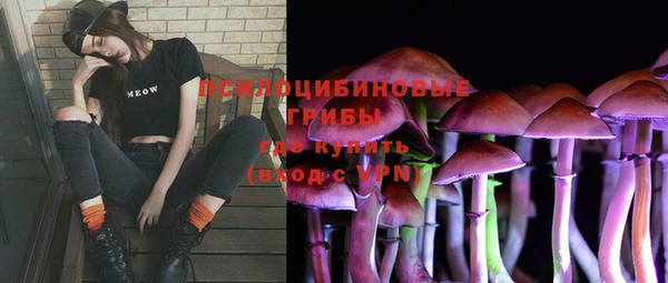 не бодяженный Богданович