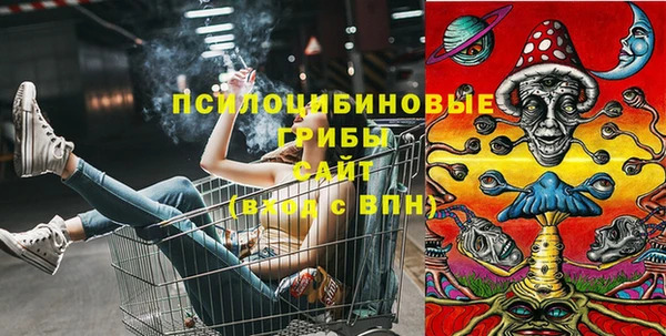 не бодяженный Богданович