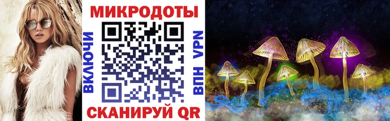 kraken Благодарный Галлюциногенные грибы GOLDEN TEACHER